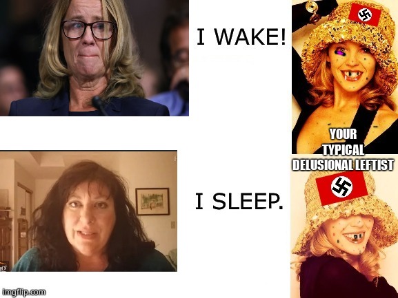 Kylie I wake/I sleep accurate | YOUR TYPICAL DELUSIONAL LEFTIST | image tagged in kylie i wake/i sleep accurate | made w/ Imgflip meme maker
