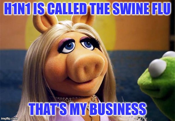 miss piggy | H1N1 IS CALLED THE SWINE FLU THAT'S MY BUSINESS | image tagged in miss piggy | made w/ Imgflip meme maker