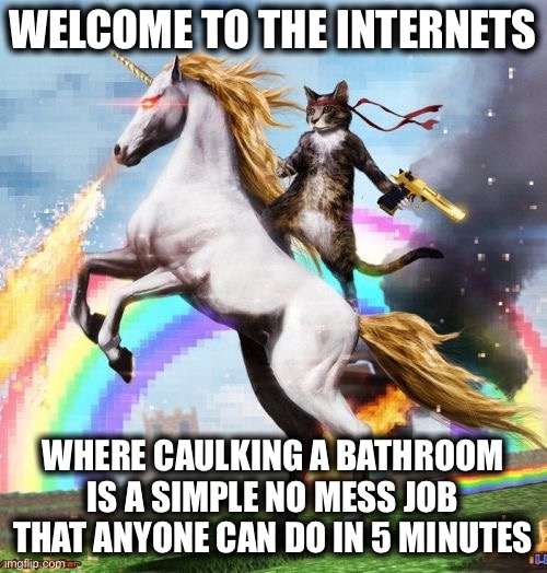 Welcome To The Internets | WELCOME TO THE INTERNETS; WHERE CAULKING A BATHROOM IS A SIMPLE NO MESS JOB THAT ANYONE CAN DO IN 5 MINUTES | image tagged in memes,welcome to the internets | made w/ Imgflip meme maker