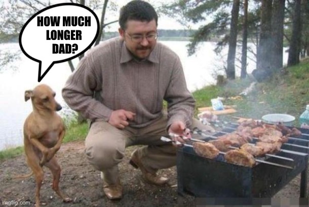 Dog Waiting for BBQ | HOW MUCH 
LONGER 
DAD? | image tagged in dog waiting for bbq | made w/ Imgflip meme maker