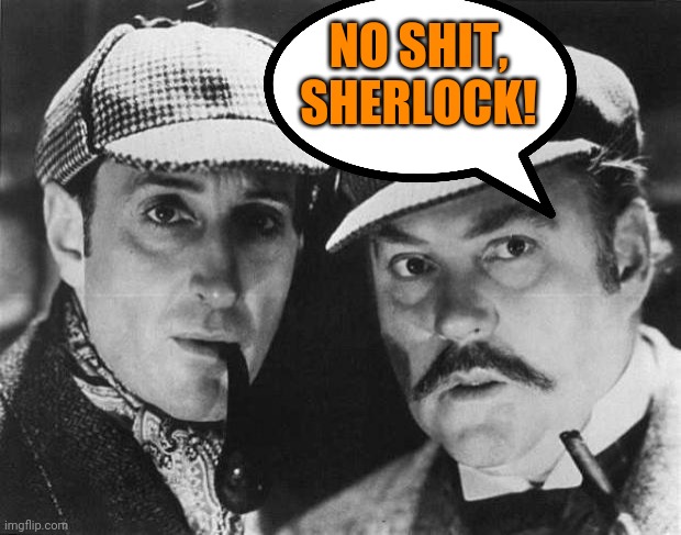 sherlock holmes | NO SHIT, SHERLOCK! | image tagged in sherlock holmes | made w/ Imgflip meme maker