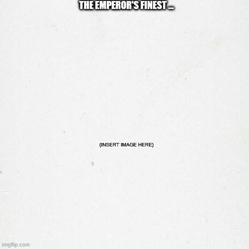 The Emperor's Finest... Blank Meme Template