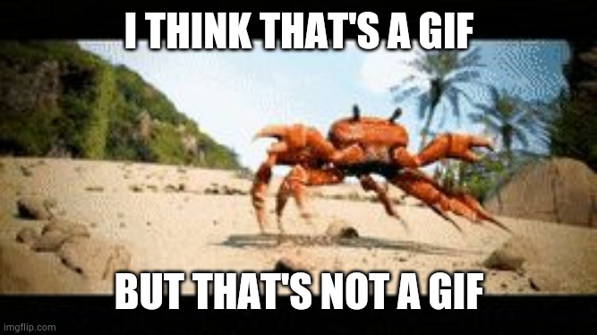 This is not a gif | I THINK THAT'S A GIF; BUT THAT'S NOT A GIF | image tagged in crab rave gif | made w/ Imgflip meme maker