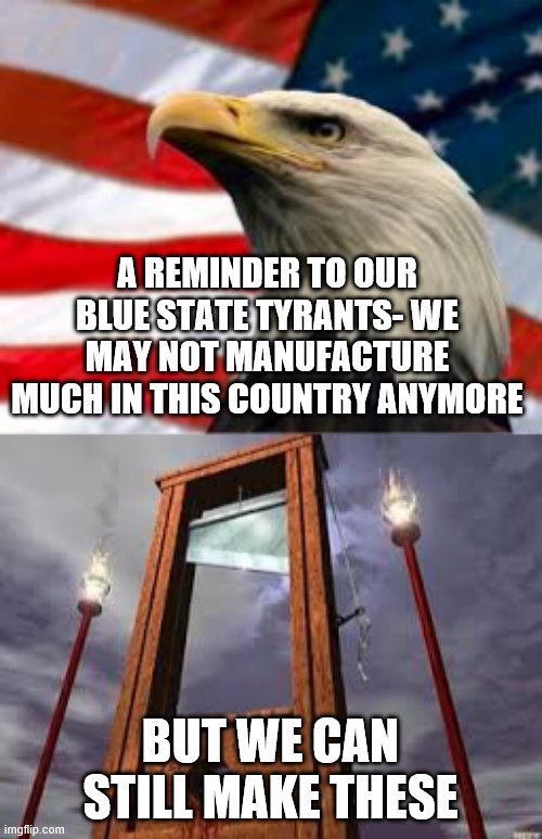 A REMINDER TO OUR BLUE STATE TYRANTS- WE MAY NOT MANUFACTURE MUCH IN THIS COUNTRY ANYMORE; BUT WE CAN STILL MAKE THESE | image tagged in guillotine,murica patriotic eagle | made w/ Imgflip meme maker