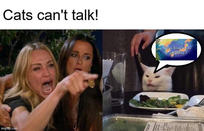 Woman Yelling At Cat Meme | Cats can't talk! | image tagged in memes,woman yelling at cat | made w/ Imgflip meme maker