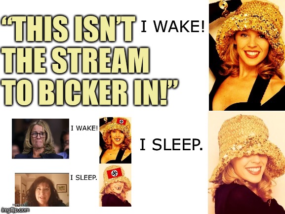 When they do a lot more than bicker at you in the stream they say is not for bickering. | “THIS ISN’T THE STREAM TO BICKER IN!” | image tagged in kylie i wake/i sleep,imgflip trolls,hate,haters gonna hate,first world imgflip problems,the daily struggle imgflip edition | made w/ Imgflip meme maker