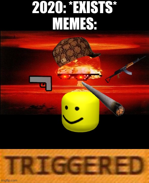 2020 Meme Summary | 2020: *EXISTS*; MEMES: | image tagged in mushroom cloud | made w/ Imgflip meme maker
