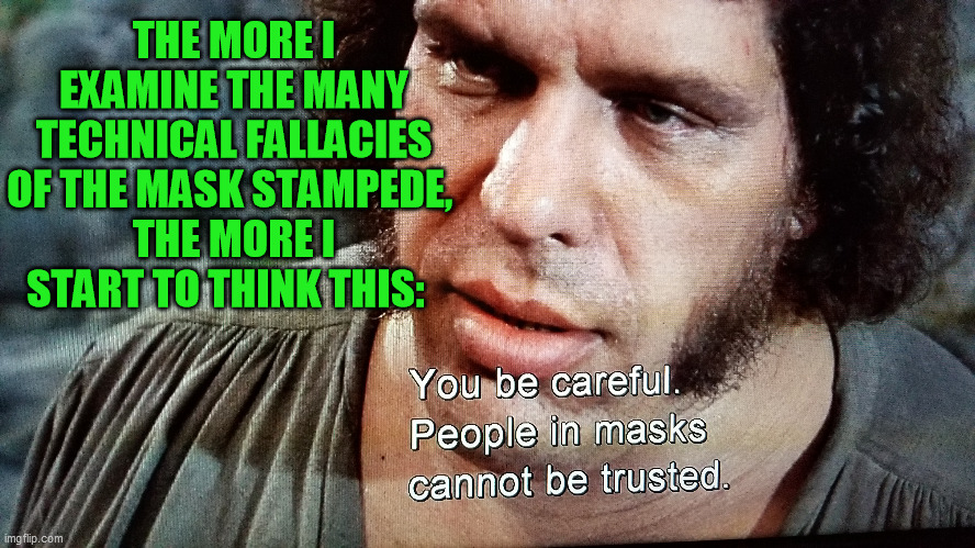 The Princess Bride giant may have been on to something | THE MORE I EXAMINE THE MANY TECHNICAL FALLACIES OF THE MASK STAMPEDE, 
THE MORE I START TO THINK THIS: | image tagged in face masks,ocular bypass infection,nanometer fishnet,covid-19,coronavirus | made w/ Imgflip meme maker