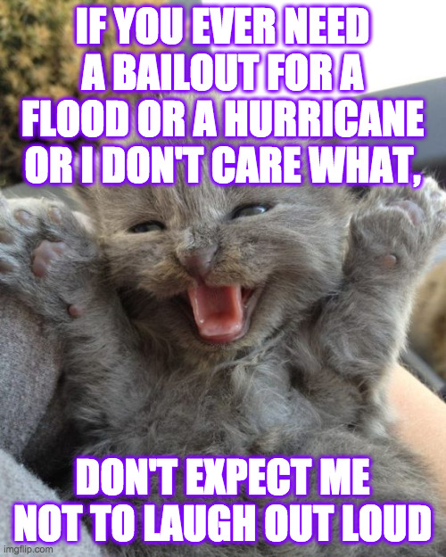 Yay Kitty | IF YOU EVER NEED A BAILOUT FOR A FLOOD OR A HURRICANE OR I DON'T CARE WHAT, DON'T EXPECT ME NOT TO LAUGH OUT LOUD | image tagged in yay kitty | made w/ Imgflip meme maker