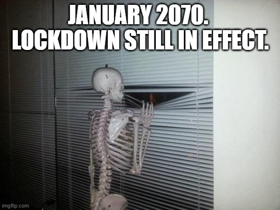 It will never end if you let them have their way. | JANUARY 2070.  LOCKDOWN STILL IN EFFECT. | image tagged in skeleton looking out window | made w/ Imgflip meme maker