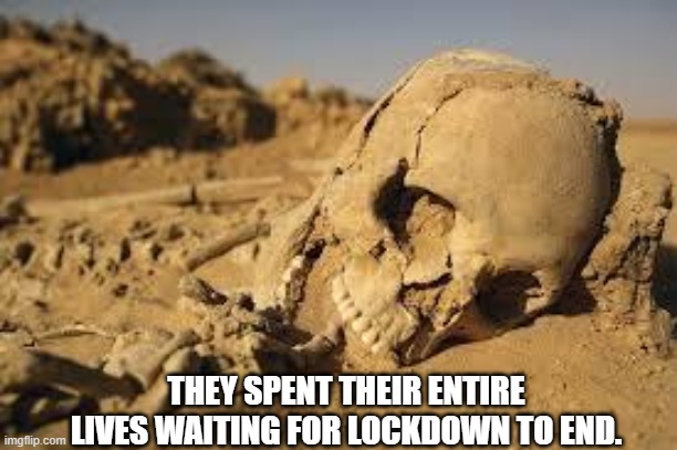 It may take longer | THEY SPENT THEIR ENTIRE LIVES WAITING FOR LOCKDOWN TO END. | image tagged in desert bones | made w/ Imgflip meme maker