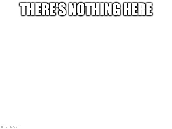 Literally Nothing | THERE'S NOTHING HERE | image tagged in blank white template,nothing,nothing to see here,wow look nothing,memes,funny | made w/ Imgflip meme maker