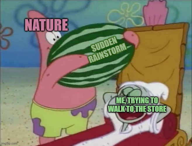 Patrick watermelon (Fixed Text Boxes) | NATURE; SUDDEN RAINSTORM; ME, TRYING TO WALK TO THE STORE | image tagged in patrick watermelon fixed text boxes | made w/ Imgflip meme maker