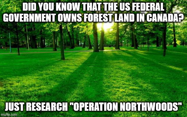 Opertion Northwoods | DID YOU KNOW THAT THE US FEDERAL GOVERNMENT OWNS FOREST LAND IN CANADA? JUST RESEARCH "OPERATION NORTHWOODS" | image tagged in grass and trees,woods,trees,nature | made w/ Imgflip meme maker