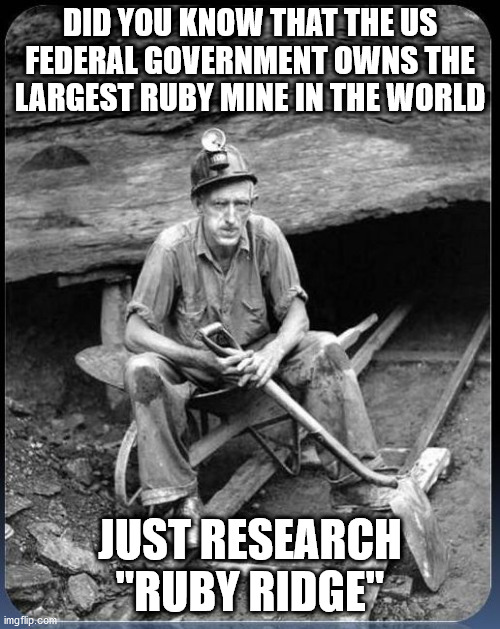 Ruby Ridge | DID YOU KNOW THAT THE US FEDERAL GOVERNMENT OWNS THE LARGEST RUBY MINE IN THE WORLD; JUST RESEARCH "RUBY RIDGE" | image tagged in miner,mining,ruby,gold,earth,us government | made w/ Imgflip meme maker