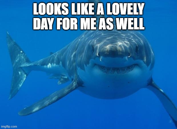 Straight White Shark | LOOKS LIKE A LOVELY DAY FOR ME AS WELL | image tagged in straight white shark | made w/ Imgflip meme maker
