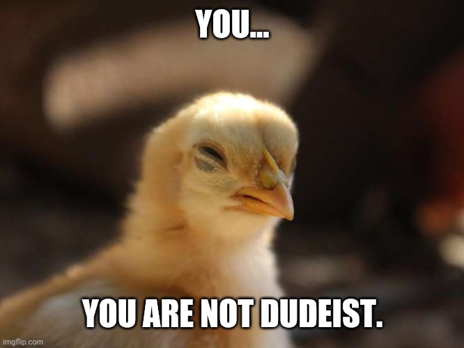 Not Dudeist | YOU... YOU ARE NOT DUDEIST. | image tagged in funny | made w/ Imgflip meme maker