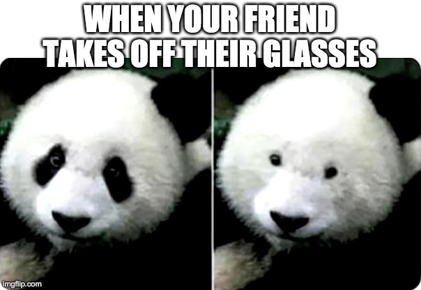 Small eyes Panda | WHEN YOUR FRIEND TAKES OFF THEIR GLASSES | image tagged in glasses,eyes,funny,memes | made w/ Imgflip meme maker
