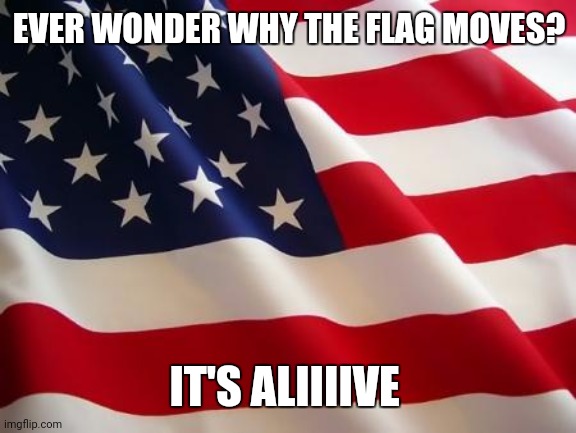 American flag | EVER WONDER WHY THE FLAG MOVES? IT'S ALIIIIVE | image tagged in american flag | made w/ Imgflip meme maker