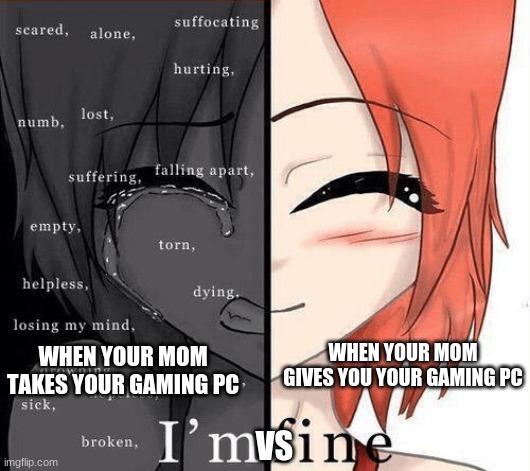 WHEN YOUR MOM TAKES YOUR GAMING PC; WHEN YOUR MOM GIVES YOU YOUR GAMING PC; VS | image tagged in sad,kind funny,cute | made w/ Imgflip meme maker