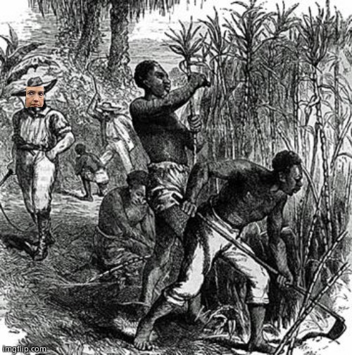 Plantation Slaves | image tagged in plantation slaves | made w/ Imgflip meme maker