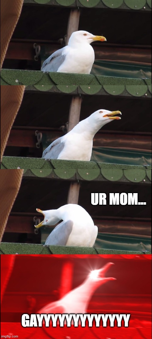 Inhaling Seagull Meme | UR MOM... GAYYYYYYYYYYYYY | image tagged in memes,inhaling seagull | made w/ Imgflip meme maker