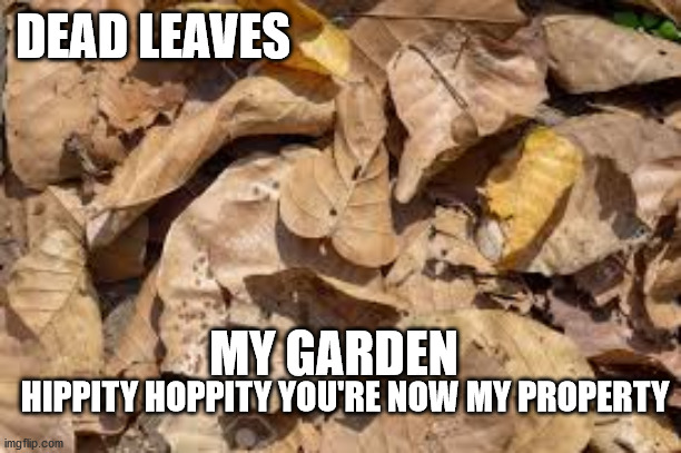 DEAD LEAVES; MY GARDEN; HIPPITY HOPPITY YOU'RE NOW MY PROPERTY | made w/ Imgflip meme maker