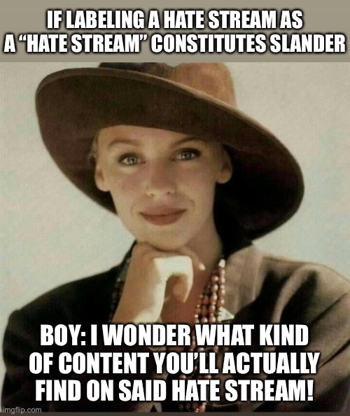 When they whiff again on defining libel/slander. | IF LABELING A HATE STREAM AS A “HATE STREAM” CONSTITUTES SLANDER; BOY: I WONDER WHAT KIND OF CONTENT YOU’LL ACTUALLY FIND ON SAID HATE STREAM! | image tagged in kylie hat,harassment,haters gonna hate,haters,the daily struggle imgflip edition,first world imgflip problems | made w/ Imgflip meme maker
