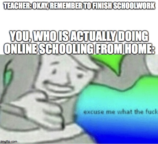 Excuse me wtf blank template | TEACHER: OKAY, REMEMBER TO FINISH SCHOOLWORK; YOU, WHO IS ACTUALLY DOING ONLINE SCHOOLING FROM HOME: | image tagged in excuse me wtf blank template | made w/ Imgflip meme maker