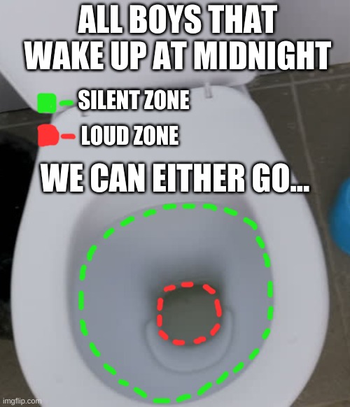 Pee Choices | ALL BOYS THAT WAKE UP AT MIDNIGHT; SILENT ZONE; LOUD ZONE; WE CAN EITHER GO... | image tagged in funny | made w/ Imgflip meme maker