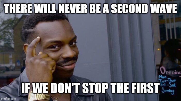 Roll Safe Think About It | THERE WILL NEVER BE A SECOND WAVE; IF WE DON'T STOP THE FIRST | image tagged in memes,roll safe think about it | made w/ Imgflip meme maker
