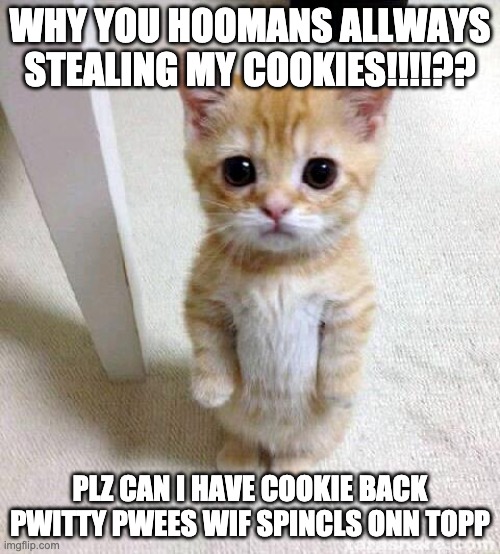 cookies | WHY YOU HOOMANS ALLWAYS STEALING MY COOKIES!!!!?? PLZ CAN I HAVE COOKIE BACK PWITTY PWEES WIF SPINCLS ONN TOPP | image tagged in memes,cute cat | made w/ Imgflip meme maker