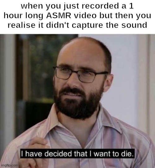 I have decided that I want to die | when you just recorded a 1 hour long ASMR video but then you realise it didn't capture the sound | image tagged in i have decided that i want to die | made w/ Imgflip meme maker
