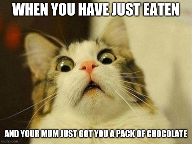 yum | WHEN YOU HAVE JUST EATEN; AND YOUR MUM JUST GOT YOU A PACK OF CHOCOLATE | image tagged in memes,scared cat,food,yummy | made w/ Imgflip meme maker