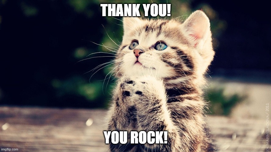 THANK YOU! YOU ROCK! | made w/ Imgflip meme maker