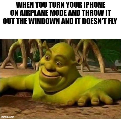 shrek | WHEN YOU TURN YOUR IPHONE ON AIRPLANE MODE AND THROW IT OUT THE WINDOWN AND IT DOESN'T FLY | image tagged in shrek | made w/ Imgflip meme maker