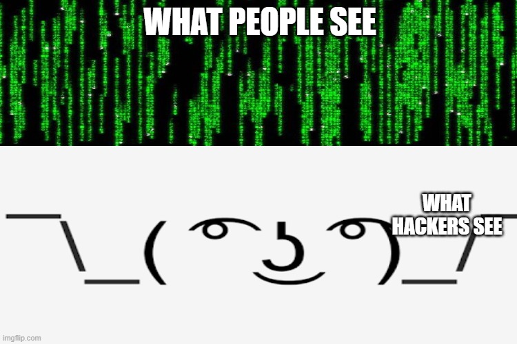 Whats hackers see! | WHAT PEOPLE SEE; WHAT HACKERS SEE | image tagged in fun,funny,memes,dirtymemes | made w/ Imgflip meme maker