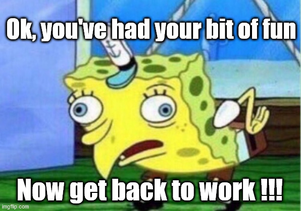 Get back to work !!! | Ok, you've had your bit of fun; Now get back to work !!! | image tagged in memes,mocking spongebob,coronavirus,covid-19,holiday vacation | made w/ Imgflip meme maker