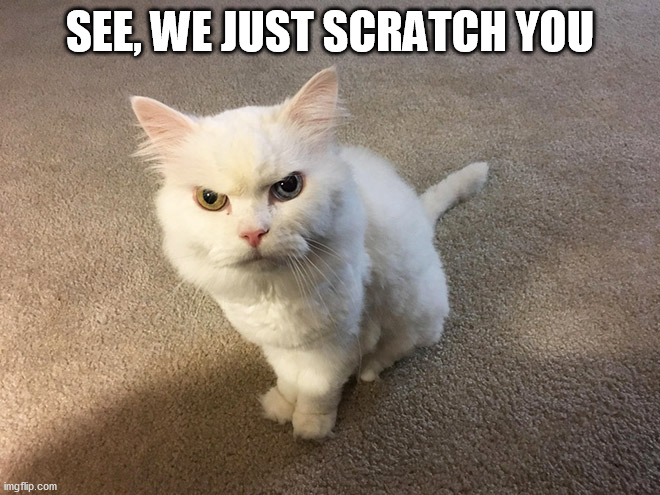 hate cat | SEE, WE JUST SCRATCH YOU | image tagged in hate cat | made w/ Imgflip meme maker