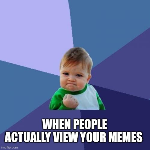 That kid | WHEN PEOPLE ACTUALLY VIEW YOUR MEMES | image tagged in memes,success kid | made w/ Imgflip meme maker