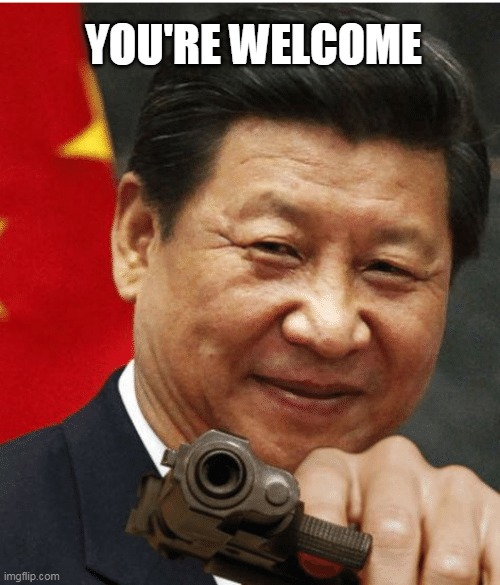 Xi Jinping | YOU'RE WELCOME | image tagged in xi jinping | made w/ Imgflip meme maker