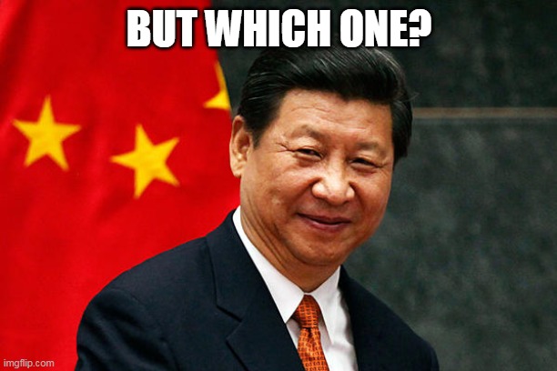 Xi Jinping | BUT WHICH ONE? | image tagged in xi jinping | made w/ Imgflip meme maker