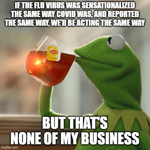But That's None Of My Business Meme | IF THE FLU VIRUS WAS SENSATIONALIZED THE SAME WAY COVID WAS, AND REPORTED THE SAME WAY, WE'D BE ACTING THE SAME WAY BUT THAT'S NONE OF MY BU | image tagged in memes,but that's none of my business,kermit the frog,coronavirus,politics | made w/ Imgflip meme maker