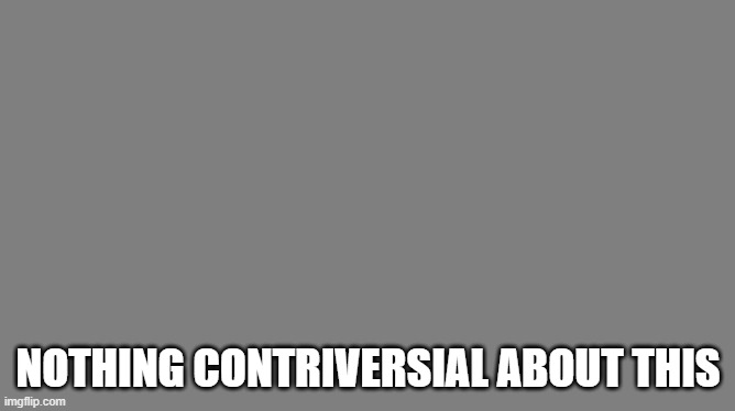 Blank grey | NOTHING CONTRIVERSIAL ABOUT THIS | image tagged in blank grey | made w/ Imgflip meme maker