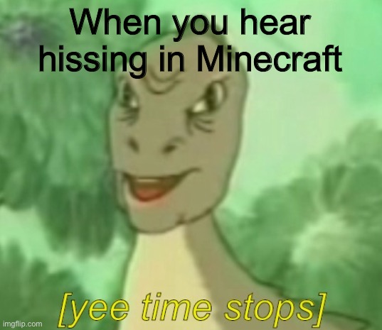 [yee time stops] | When you hear hissing in Minecraft | image tagged in yee time stops | made w/ Imgflip meme maker