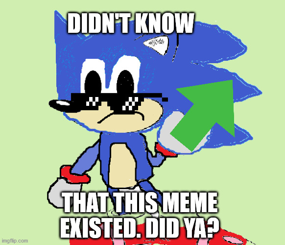 You probably didn't know this meme existed. | DIDN'T KNOW; THAT THIS MEME EXISTED. DID YA? | image tagged in honic,meme,meme,did you know | made w/ Imgflip meme maker
