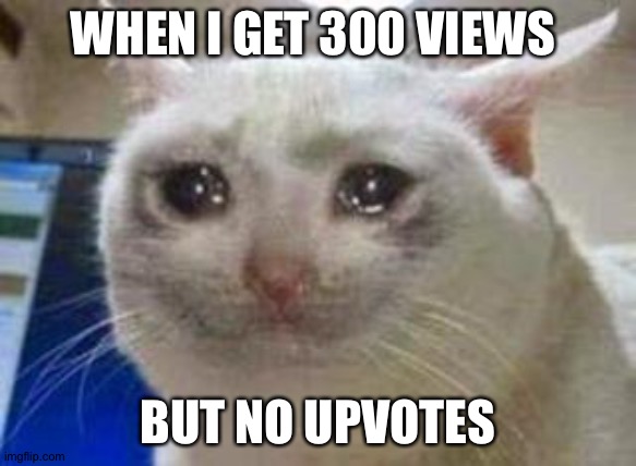 All views... No upvotes... | WHEN I GET 300 VIEWS; BUT NO UPVOTES | image tagged in sad cat,upvotes | made w/ Imgflip meme maker
