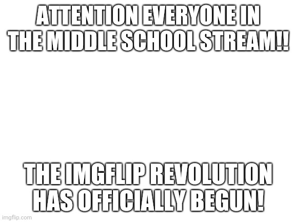 We got toxic people to burn, everyone! | ATTENTION EVERYONE IN THE MIDDLE SCHOOL STREAM!! THE IMGFLIP REVOLUTION HAS OFFICIALLY BEGUN! | image tagged in blank white template,imgflip revolution | made w/ Imgflip meme maker