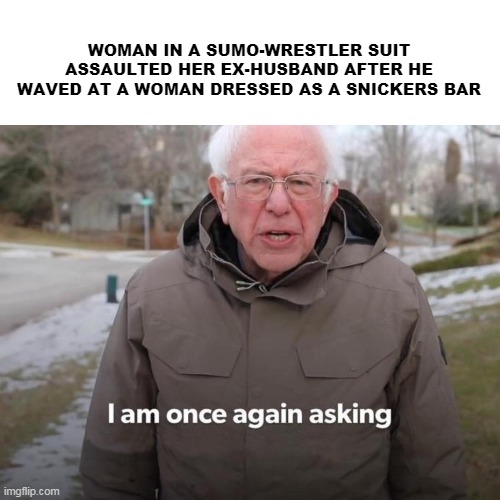 Bernie I Am Once Again Asking For Your Support | WOMAN IN A SUMO-WRESTLER SUIT ASSAULTED HER EX-HUSBAND AFTER HE WAVED AT A WOMAN DRESSED AS A SNICKERS BAR | image tagged in memes,bernie i am once again asking for your support | made w/ Imgflip meme maker