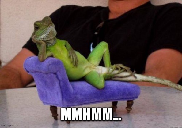 Sassy Iguana Meme | MMHMM... | image tagged in memes,sassy iguana | made w/ Imgflip meme maker